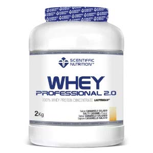 WHEY PROFESSIONAL 2.0